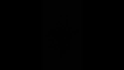 Snapshot of gjpj1 chatting on 02-26-26, 12:59 gjpj1 online show from 02-26-26, 12:59