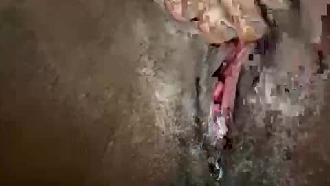 Snapshot of glazehoney chatting on 10-28-25, 03:25 glazehoney online show from 10-28-25, 03:25