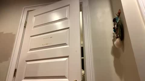 Lets get wierd online show from 10-24-25, 03:14