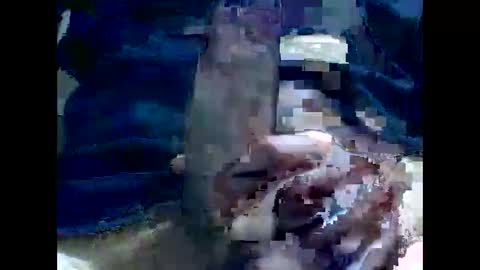 PencilDick online show from 12-02-24, 08:30