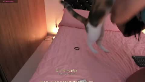 Snapshot of goddess_eli77 chatting on 10-04-25, 02:53 goddess_eli77 online show from 10-04-25, 02:53