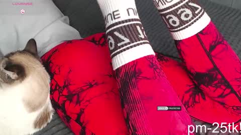 Goddess EmmaBratt princess online show from 02-03-26, 01:49