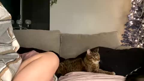 GoddessMayvn online show from 12-29-24, 12:55