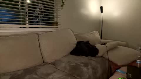 GoddessMayvn online show from 01-26-25, 07:32