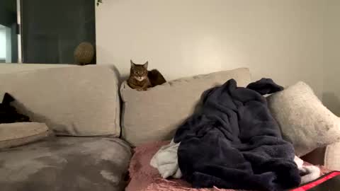 GoddessMayvn online show from 02-08-25, 07:15