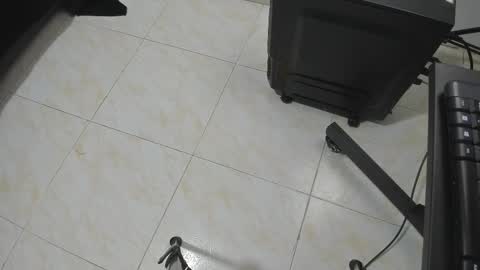 goldyht online show from 12-16-25, 12:54