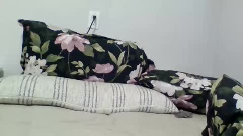 lightskingirl19 online show from 04-10-26, 07:24