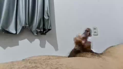 Snapshot of good_boy_sex chatting on 12-19-25, 01:23 Good boy online show from 12-19-25, 01:23