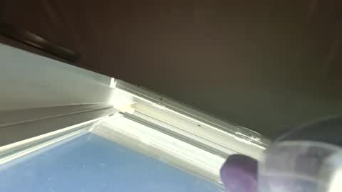 Snapshot of goosetrucker982440 chatting on 09-30-25, 02:00 goosetrucker982440 online show from 09-30-25, 02:00