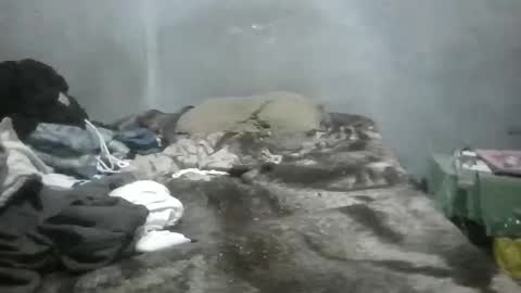 GorditoRicoJejeMX online show from 09-20-25, 03:07