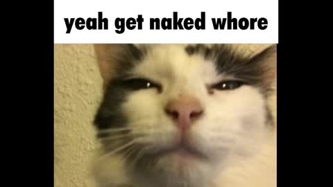 Snapshot of goth_pumpkin chatting on 03-03-25, 12:26 Amy online show from 03-03-25, 12:26