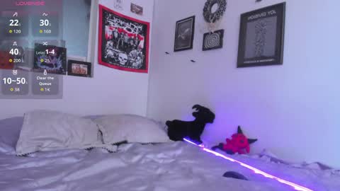 Snapshot of gothic_do11 chatting on 05-15-26, 05:31 hi my name is Elizabeth nice to meet you online show from 05-15-26, 05:31