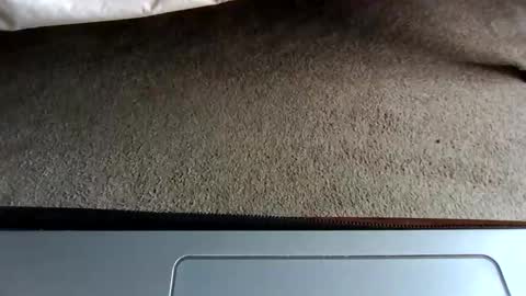 Snapshot of gowiththeflow37 chatting on 05-03-26, 08:37 watch me stroke online show from 05-03-26, 08:37