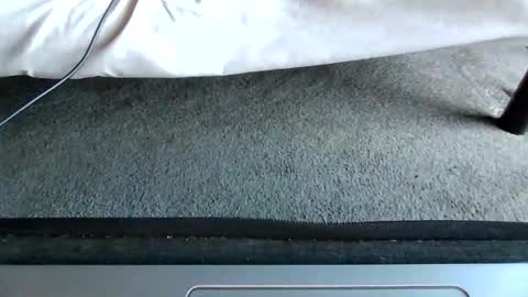 Snapshot of gowiththeflow37 chatting on 05-10-26, 11:04 watch me stroke online show from 05-10-26, 11:04