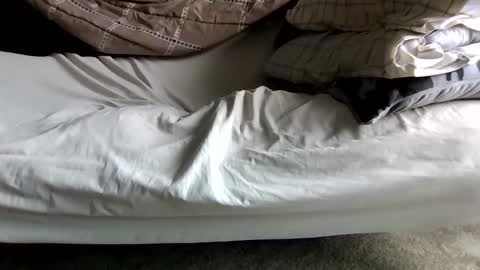 Snapshot of gowiththeflow37 chatting on 05-23-26, 04:00 watch me stroke online show from 05-23-26, 04:00