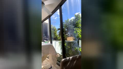 Snapshot of gracemeow chatting on 04-27-26, 03:26 gracemeow online show from 04-27-26, 03:26