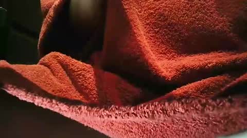 grapefruit online show from 03-01-25, 09:59