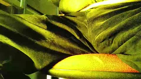 grapefruit online show from 11-05-25, 12:05