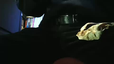 grapefruit online show from 03-11-26, 09:48