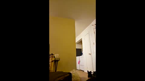 greenvertgo online show from 12-15-25, 12:59