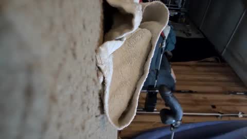 Snapshot of gregbball1 chatting on 03-15-26, 01:00 electrogee1 online show from 03-15-26, 01:00