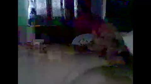 Snapshot of grittslappa chatting on 11-11-25, 12:21 grittslappa online show from 11-11-25, 12:21