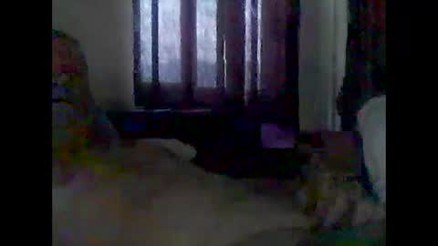 Snapshot of grittslappa chatting on 12-14-25, 03:12 grittslappa online show from 12-14-25, 03:12