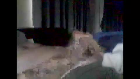 Snapshot of grittslappa chatting on 02-17-26, 01:24 grittslappa online show from 02-17-26, 01:24