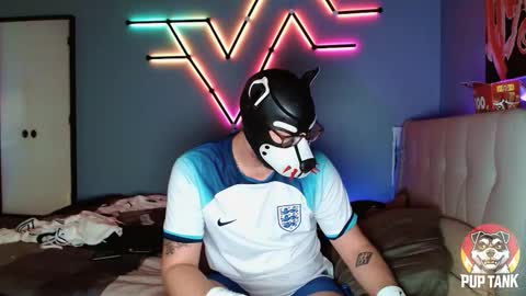 Alpha pup online show from 11-01-25, 07:16