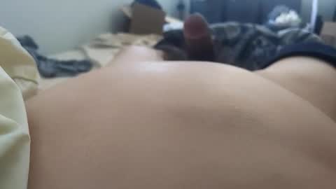 growingcubbear online show from 02-24-26, 03:54