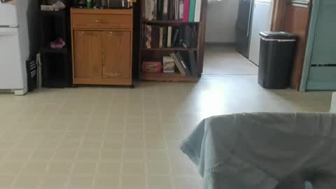 grumpyoldman75830 online show from 07-04-26, 05:19