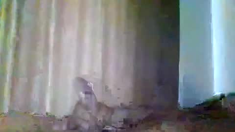 Snapshot of grupalenfection chatting on 02-07-25, 01:53 grupalenfection online show from 02-07-25, 01:53