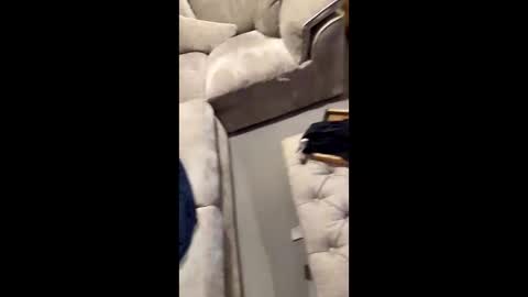 Snapshot of gt79802068 chatting on 11-11-25, 07:03 gt79802068 online show from 11-11-25, 07:03