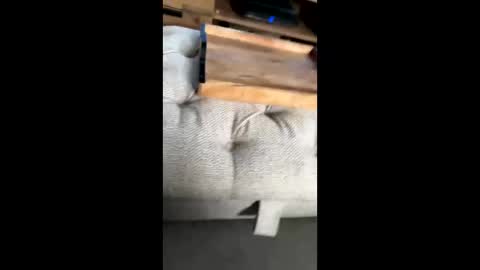 Snapshot of gt79802068 chatting on 11-22-25, 12:04 gt79802068 online show from 11-22-25, 12:04