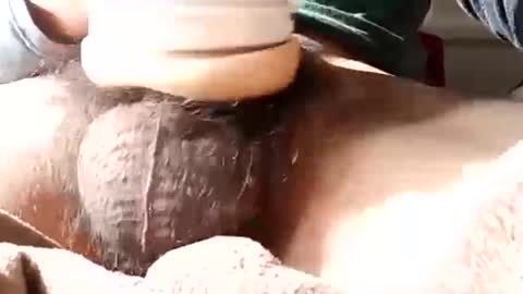 guapopapi88 online show from 01-12-25, 08:57