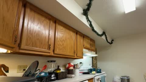 Snapshot of gucciboi4 chatting on 11-23-25, 07:35 gucciboi4 online show from 11-23-25, 07:35