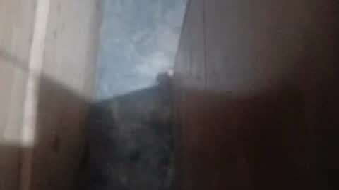 Snapshot of guidogomezcag chatting on 07-26-26, 05:48 guidogomezcag online show from 07-26-26, 05:48
