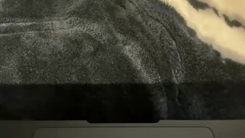 gumbywanna online show from 11-16-25, 02:00