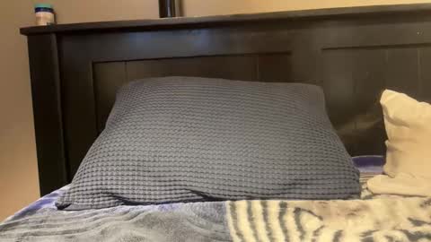 Snapshot of gumbywanna chatting on 06-08-26, 06:36 gumbywanna online show from 06-08-26, 06:36