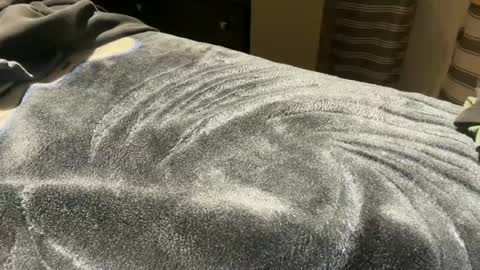Snapshot of gumbywanna chatting on 06-22-26, 05:59 gumbywanna online show from 06-22-26, 05:59