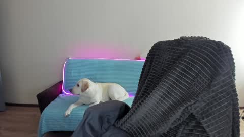 guy_liam1 online show from 12-20-24, 08:06