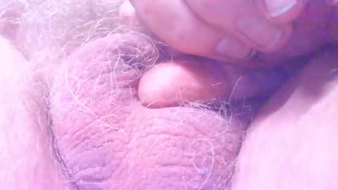 Snapshot of hagridthehorrible chatting on 03-18-26, 12:36 hagridthehorrible online show from 03-18-26, 12:36