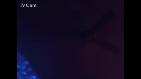 hahauwish007 online show from 12-10-24, 07:16