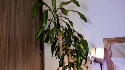 Snapshot of hailey_firee chatting on 02-10-26, 02:37 Hailey online show from 02-10-26, 02:37