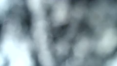 tatted blonde online show from 01-17-25, 12:53