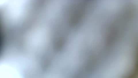 Snapshot of haileyblonde chatting on 12-23-25, 03:59 tatted blonde online show from 12-23-25, 03:59