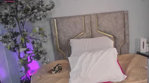 haileystonei online show from 12-16-25, 11:59