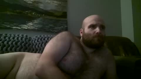 Hairiest Bear online show from 01-11-25, 09:47