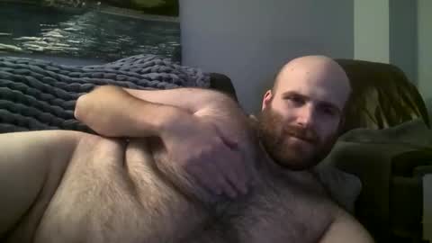 Hairiest Bear online show from 01-17-25, 07:41