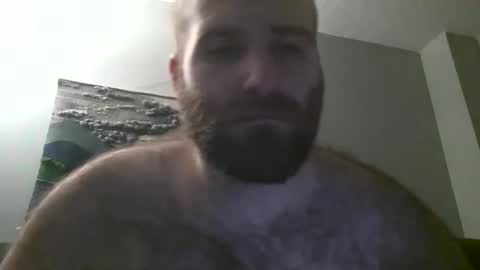 Hairiest Bear online show from 01-19-25, 07:36
